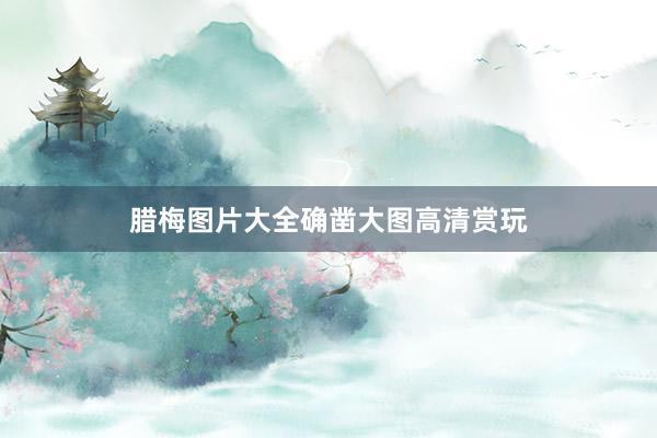 腊梅图片大全确凿大图高清赏玩