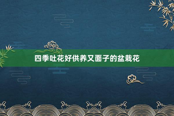四季吐花好供养又面子的盆栽花