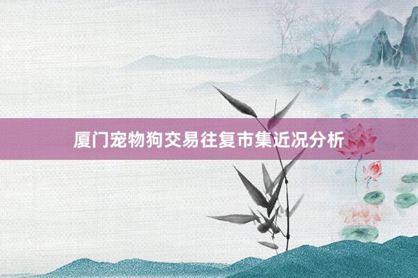 厦门宠物狗交易往复市集近况分析