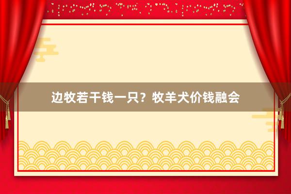 边牧若干钱一只？牧羊犬价钱融会