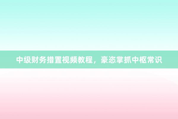 中级财务措置视频教程，豪恣掌抓中枢常识