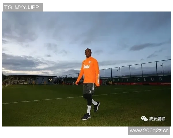 体育偶像的传奇人生与成就：从赛场到人生巅峰的奋力拼搏与坚持